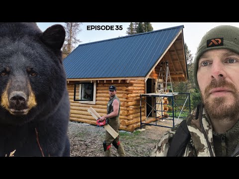 Log Cabin Build on Off-Grid Homestead |EP35| BEAR IN CAMP