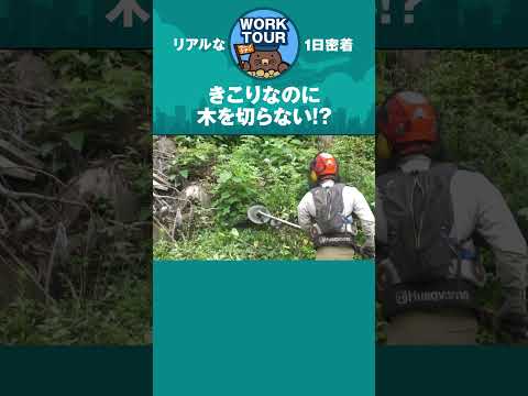 木を切らないってどう言うこと！？　#shorts