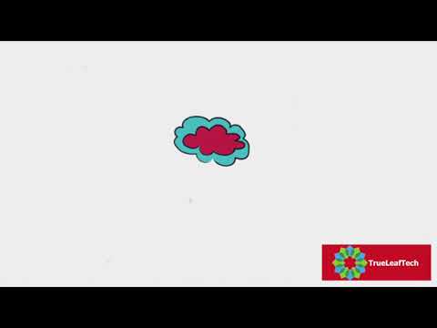 TrueLeafTech App Development Introduction