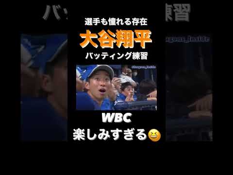 大谷翔平のバッティング練習にお口あんぐりな中日ドラゴンズナイン