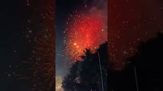 3.5 inch Sony SkyShot #diwali #shorts #sivakasicrackers #skyshot #crackers #crackerstesting2022