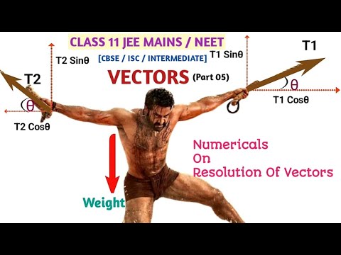 🔥 Most Expected Vector Numericals for JEE & NEET | Resolution of Vectors | Class 11 Physics