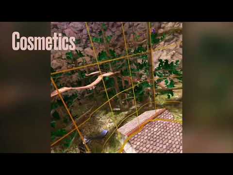 Cosmetics