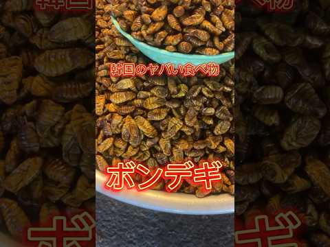 ⚠️韓国のヤバい食べ物⚠️ #韓国 #ソウル #韓国グルメ #韓国市場 #ソウル市場 #珍味 #キモイ #虫 #虫料理 #韓国料理 #ソウルグルメ #韓国旅行 #韓国観光 #ボンデギ #shorts