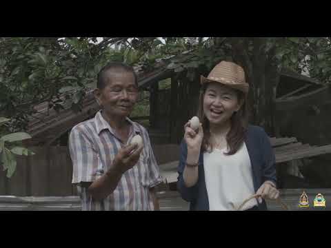 ชุมชนคณธรรมบ้านพรุใหญ่ อำเภอปะทิว จังหวัดชุมพร