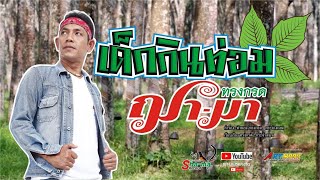 เด็กกินท่อม - ทรงกรด ฌามา