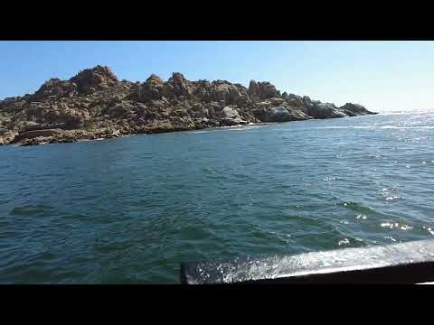 Dji Pocket 2 Slow Motion , Coquimbo 2023