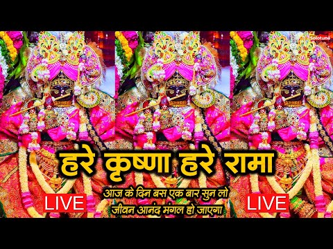 वृंदावन से लाइव 🔴: Live Shri Krishna Janmashtami Darshan 2025 | Live Darshan Mathura Janmbhoomi #stm