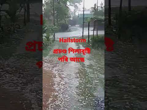 Hailstorm Down pour শিলাবৃষ্টি পৰি আছে বেছি পৰিমাণে very Heavy Hailstorm Down pour #shortvideo
