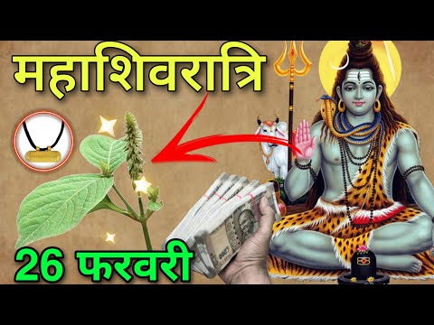 Mahashivratri 2025 😱 घर ले आना ये चमत्कारिक जड़ 😱 करोड़पति बना देगी शिवरात्रि पर. Shivratri vrat