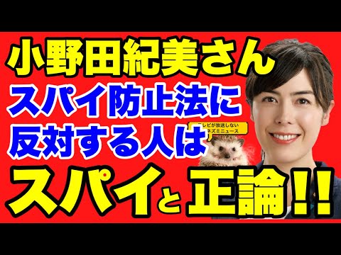 【スパイ防止法】小野田紀美議員が、「スパイ防止法に反対するのってスパイじゃないんですか？」と正論をぶちかます！！賛同の声が続々！！頑張れ小野田議員！！【小野田議員】【小野田紀美】