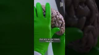 How to improve memory and focus naturally