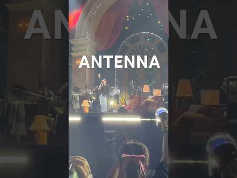 「ANTENNA 」   Mrs.GREEN APPLE #ミセスハーモニー #concert #ANTENNA#ミセス #ミセスグリーンアップル #music #大森元貴 #若井滉斗 #藤澤涼架