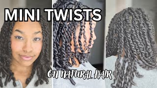 The Best Protective Style! | Mini Twists #protectivestyles #curls #naturalhair #curlconfidence 