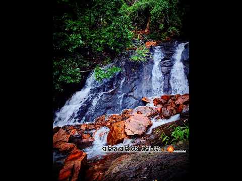 Fula hei futibi mu ...... old songs #music #reels #youtube