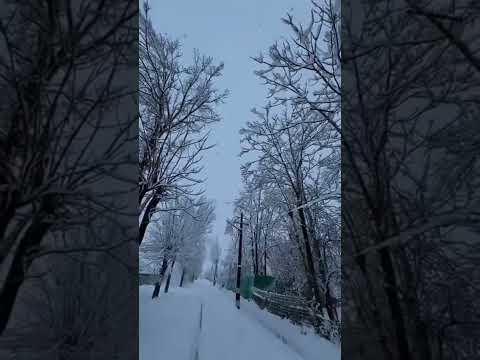 Kashmir Winters!!Perfect Snowflake❄️#snowfall #kashmir#winters#ytshorts #shorts#explore#subscribers