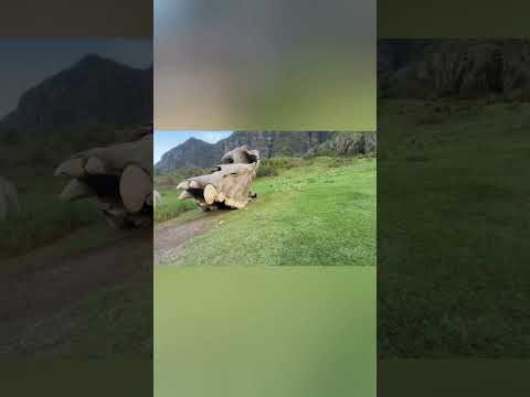 Kualoa Ranch: Jurassic Valley