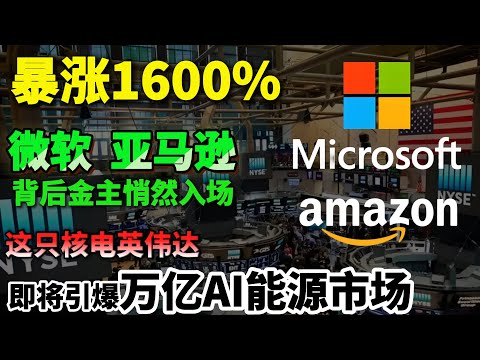 暴涨1600%！微软、亚马逊背后金主悄然入场，这只“核电英伟达”即将引爆万亿AI能源市场，错过下一个十年！#美股 #美股投资 #能源 #核电