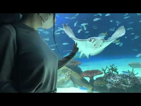 【ノーブラ散歩】サンシャイン水族館に行ってみた結果   【ち○びぽっち】