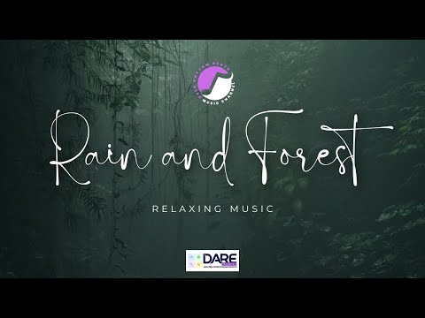 Soft Instrumental Rainforest Music | Gentle Piano, Guitar, Birds & Rain Sounds for Relaxation