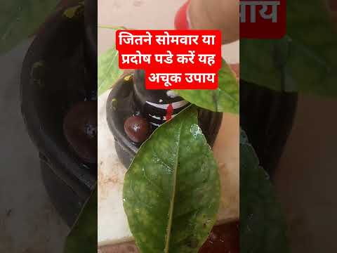 जितने सोमवार या प्रदोष पडे करें यह अचूक उपाय #pradeepmishrajidhankeupay