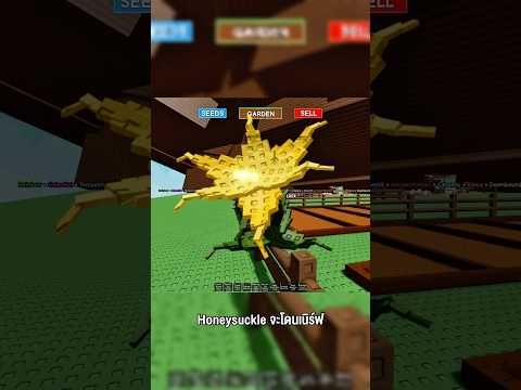 Honeysuckle จะโดนเนิร์ฟต้น Cocovine จะขึ้นมาเป็นแชมป์จริงมั้ย #godnkshop #roblox #growagarden
