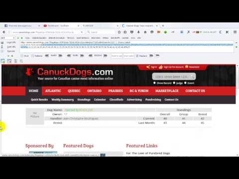 Amir Muzaffar Kashmiri Cheetah Sqli Challenge Solution by B14CK EyE