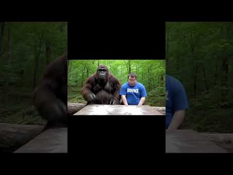 Bigfoot and DownZ #bigfoot #ai #funny