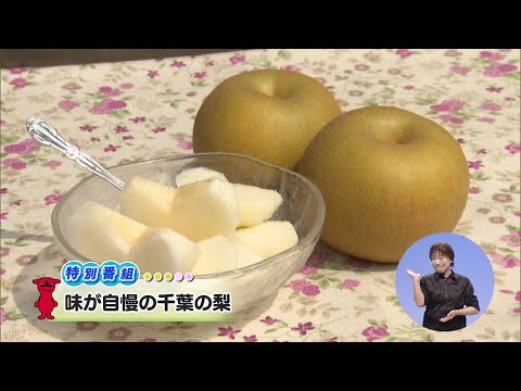 ウィークリー千葉県【特別番組】「味が自慢の千葉の梨」R6/9/7