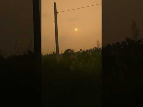 Beautiful sunset #trending #viral #shorts #sunset #youtubeshorts