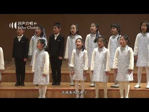 【回声少年合唱团】春风
