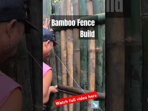 BAMBOO Fence (kawayan koral) 🇵🇭 Philippines #bamboo #bamboofence #diyfence  #shorts