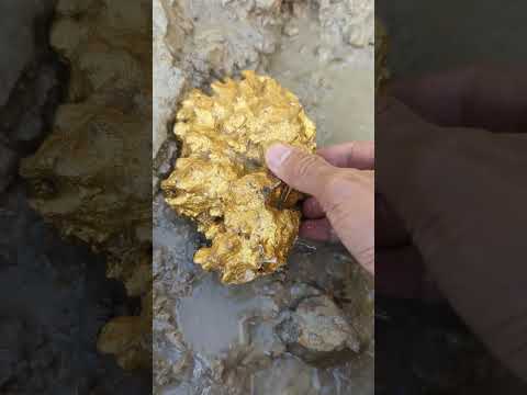 such a large gold was obtained #goldhunter #gold
