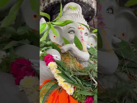 Live Darshan | Ganesh Utsav 2024 | Shri Arkeshwara Swamy Temple Mysore | Shiva Vishnu Datta