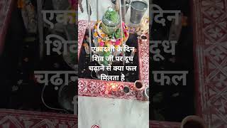 एकादशी के दिन शिवजी पर चढ़ा दें यह एक चीज 🙏#shivpooja #bhaktibhajanvlogs