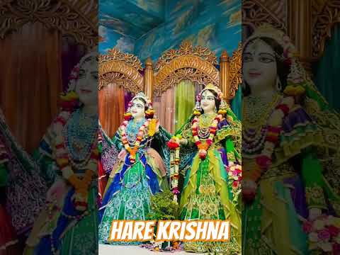 ➤ A wonderful Darshan of God❤️❤️🙏 #krishna #darshan #today#darshan#love#2025 #iskcon#song#shortvideo