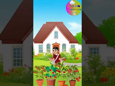 Aha tamatar bade majedar||new song||#vairalvideo #vairalshorts #vairalcartoon