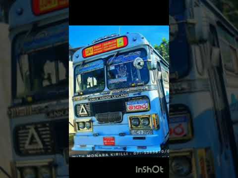 තිස්ස පාරේ හැඩකාරයා මොණර කිරිල්ලී  @LNRBUSKINGDOM-dl9ql #bus