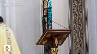 Solemnity of the Nativity of the Lord - Mass at Dawn (25 December 2023)
