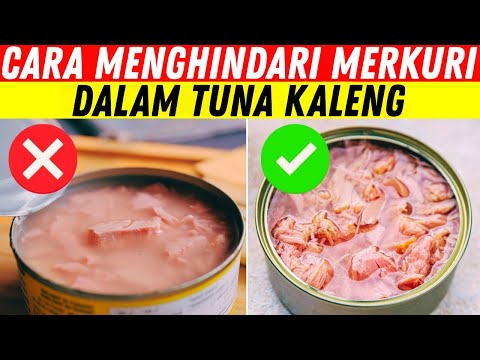 Tuna Kaleng: Bisa Jadi Racun untuk Otak Anda? 🐟⚠️ Apa yang Harus Anda Ketahui! 🤯
