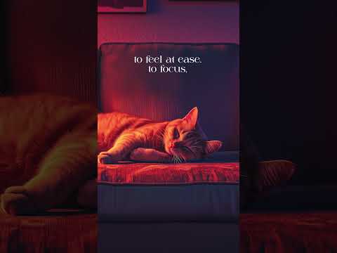 Your Moment to Relax 🌿 | Lo-Fi Jazz Beats for Focus & Calm Soft reflextions   7   shorts