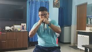 #harmonicaplayer #harmonica #oldhindisongs #songcovers #instrumental #instrumentalcovers
