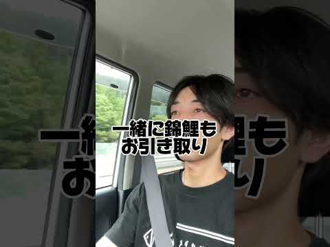 錦鯉引き取りました！#池じまい#錦鯉#錦鯉引き取り