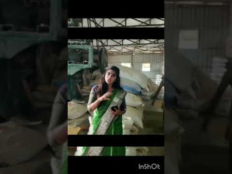 ஒரு வாரம் பழகிட்டா போதும் அடுத்து உங்களுக்கு தான் லாபம் | #மாட்டுதீவனம் | #கோதுமைதவிடு #cattlefeeds