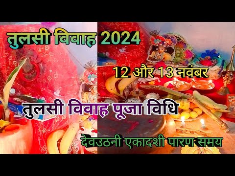 tulsi vivah 2024//तुलसी विवाह कैसे कराएं सरल विधि से//शालिग्राम जी घर पर नहीं है तो तुलसी विवाह कैसे