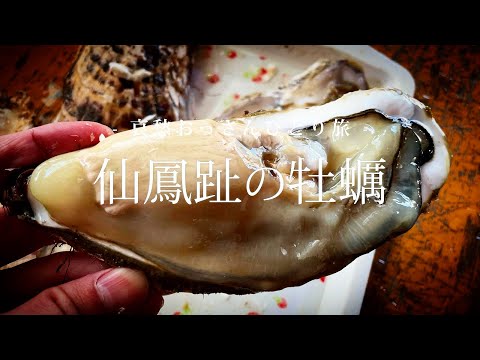 【北海道 仙鳳趾村】仙鳳趾の牡蠣｜哀愁おっさんひとり旅 Vol.139