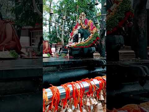 ಸೌತಡ್ಕ ಮಹಾಗಣಪತಿ ಯ ದರ್ಶನ #Short video #Short#