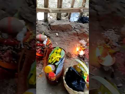 maai ke aarti utaro re #shorts #youtubeshorts #viralshorts #ytviralshorts