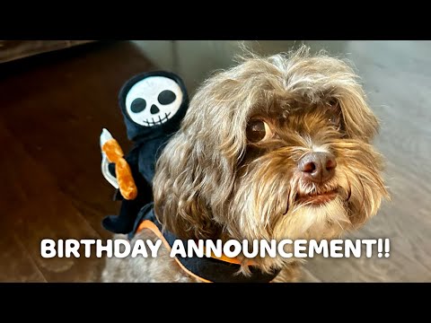 Birthday Announcement!!