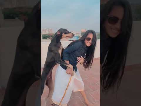 Dog dance | Dog chennai dance